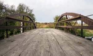 Hidden Lake Forest Preserve