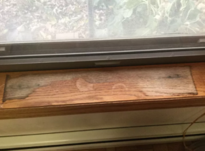 Window Water Damage Repair